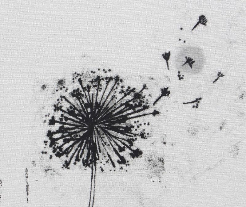 Dandelion 2015