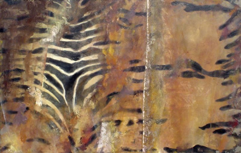 Zebra 1, 2009