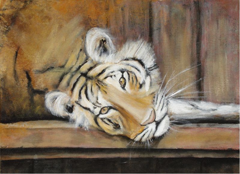 Tigre II, 2010