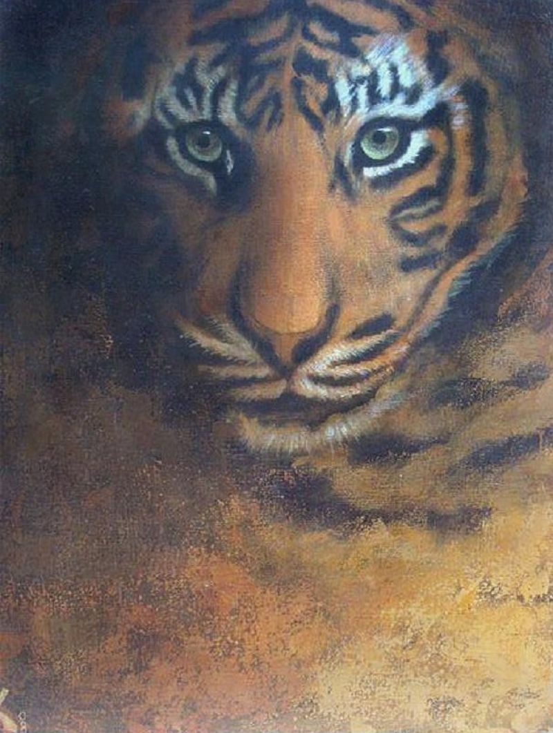 Tigre I, 2008